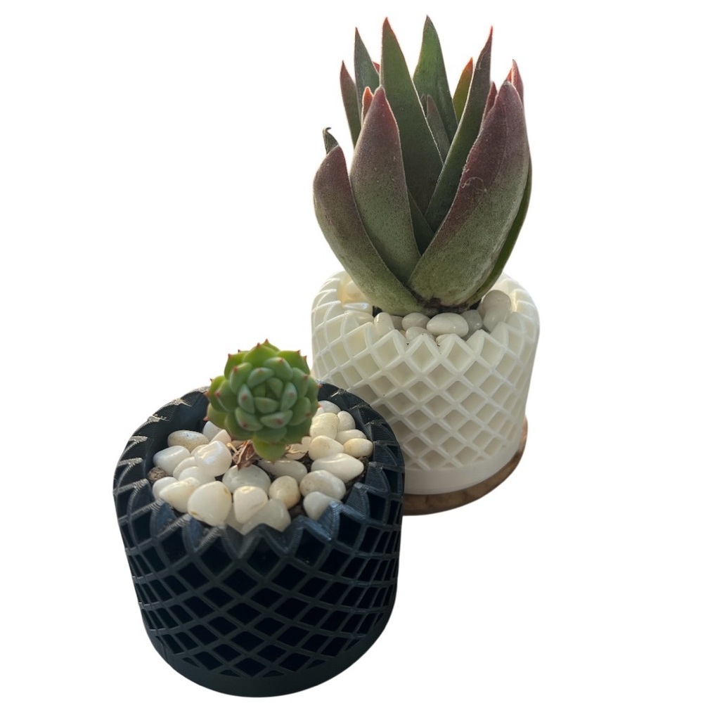 3D Printed Eco-Friendly Geometric Black and White Planter Set